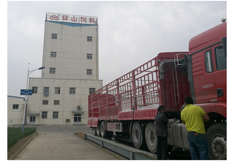 1650760742904813.jpg 31.jpg